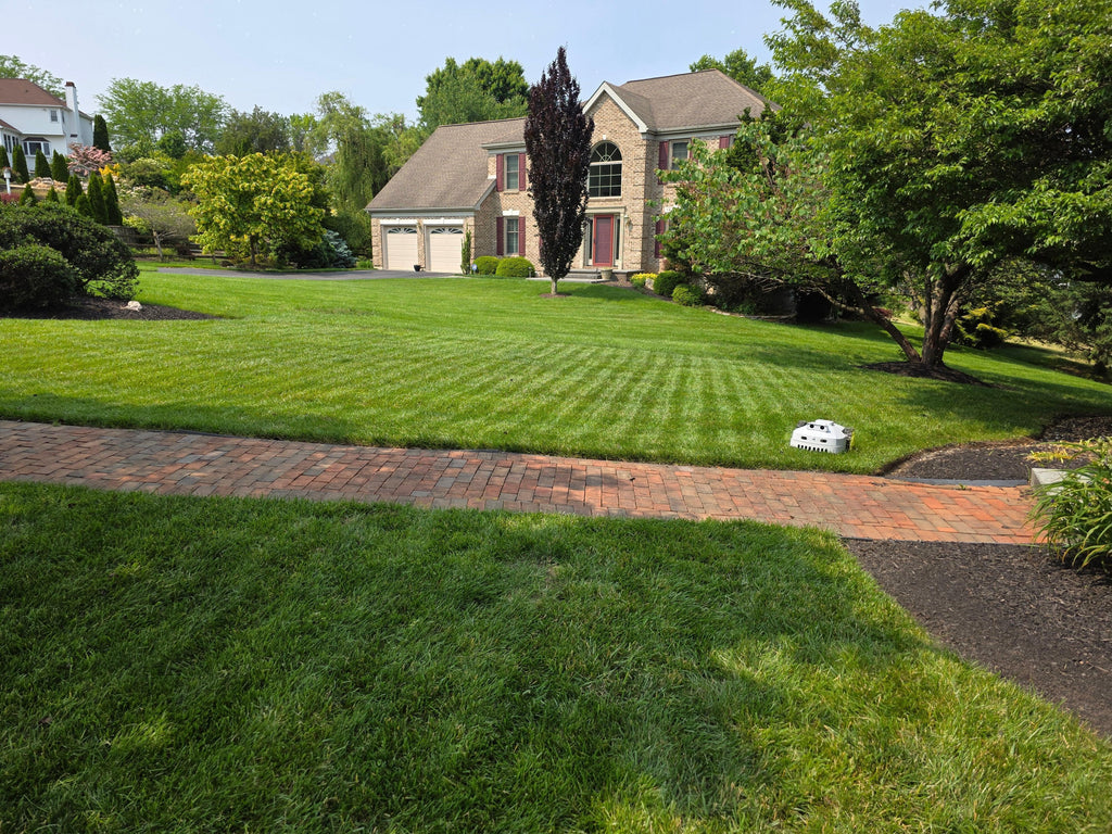 Robots As A Service - BESTMOW Robotic Lawn Mower - Boston