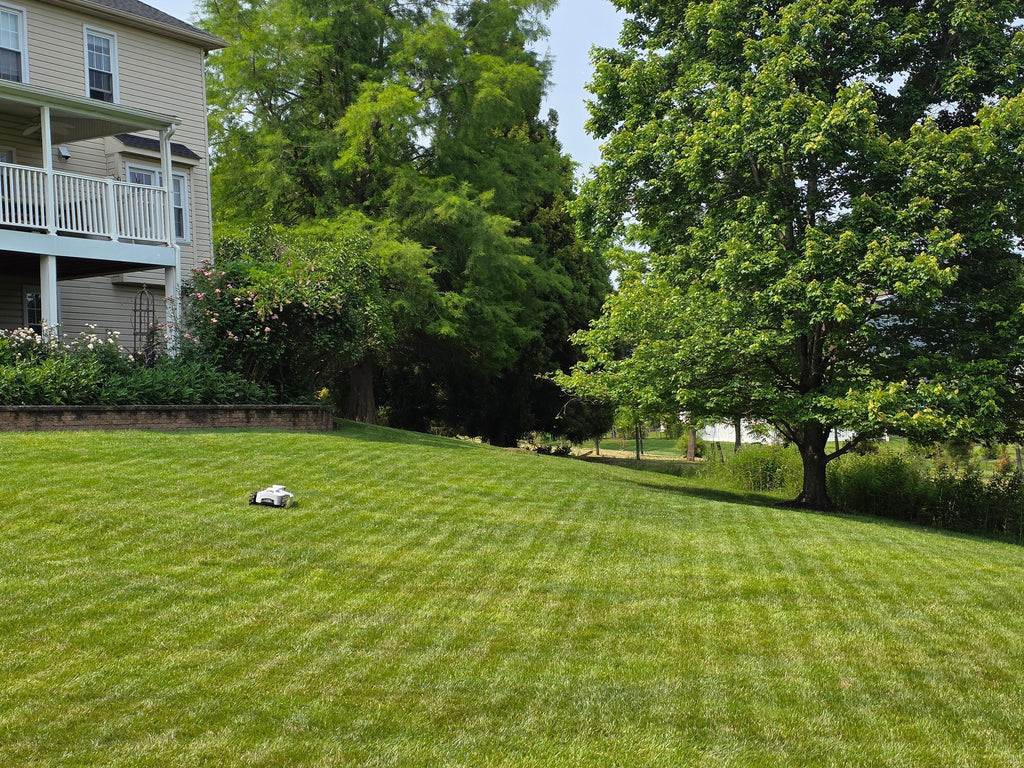 Robots As A Service - BESTMOW Robotic Lawn Mower - Boston