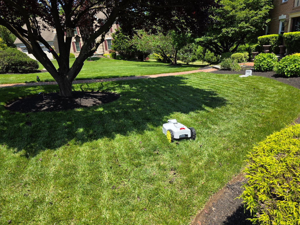 Robots As A Service - BESTMOW Robotic Lawn Mower - Boston