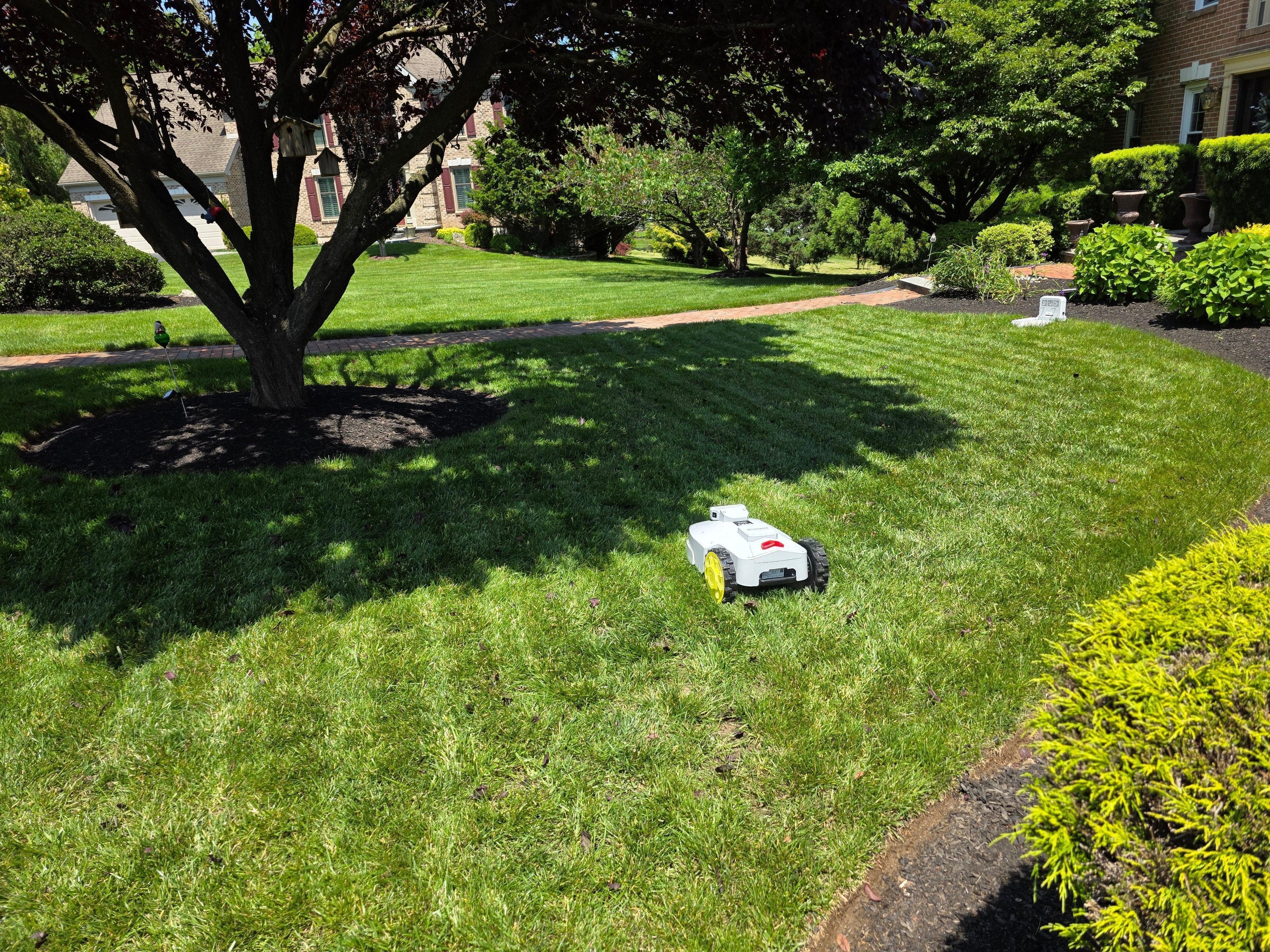 Robots As A Service - BESTMOW Robotic Lawn Mower - Boston