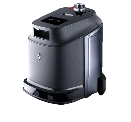 Mopping Robot