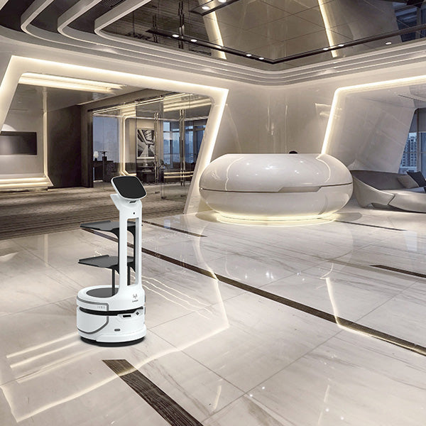 Food Delivery Robot