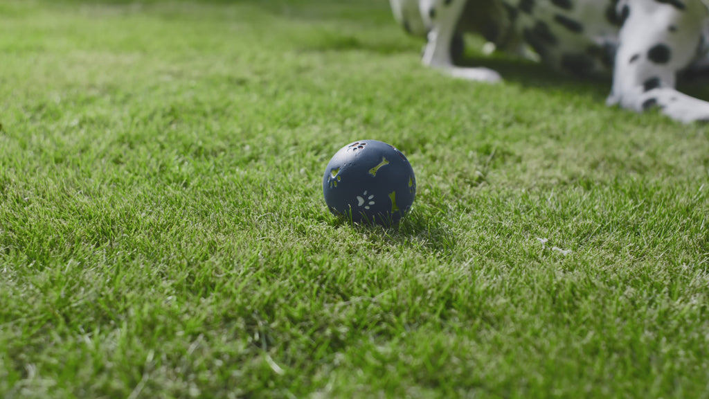 World's 1st Cognitive AI Powered Essential  Robotic Pool Cleaner Aiper Scuba V3